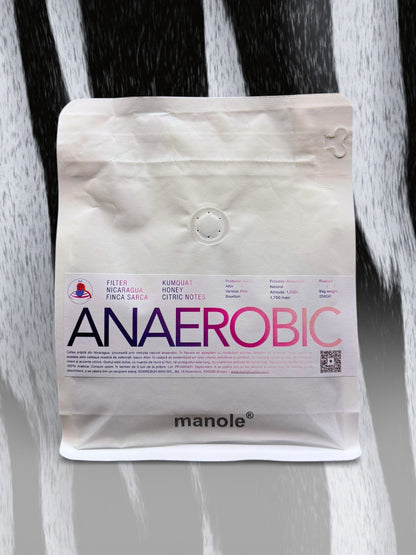 NICARAGUA FINCA SARCA – ANAEROBIC NATURAL – 88+