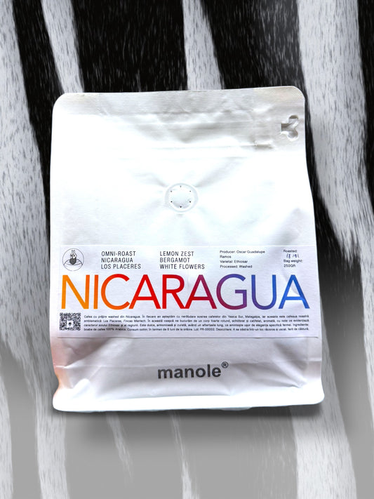 NICARAGUA LOS PLACERES – WASHED – 87+
